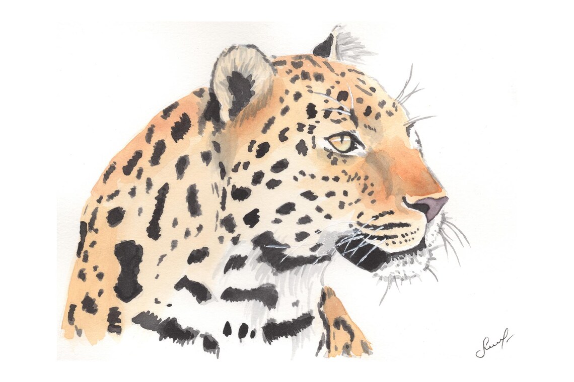 Original Leopard Watercolor Painting Wall Art Animal