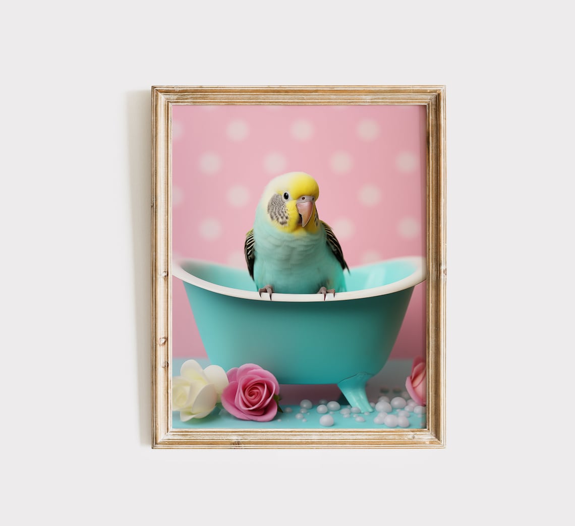 Cute Budgie in Turquoise Bathtub Pink Pastel Bathroom Bird Wall Poster