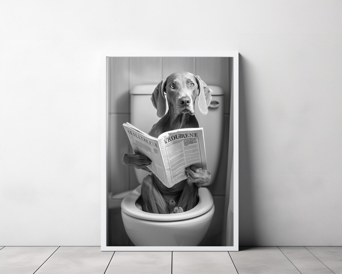Grey Weimaraner Staring at Camera with Magazine on Toilet Poster - Image 3