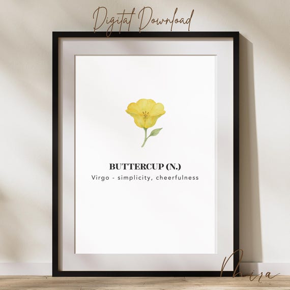 Virgo Buttercup Birth Flower Print Minimalist Zodiac Astrology Wall Art