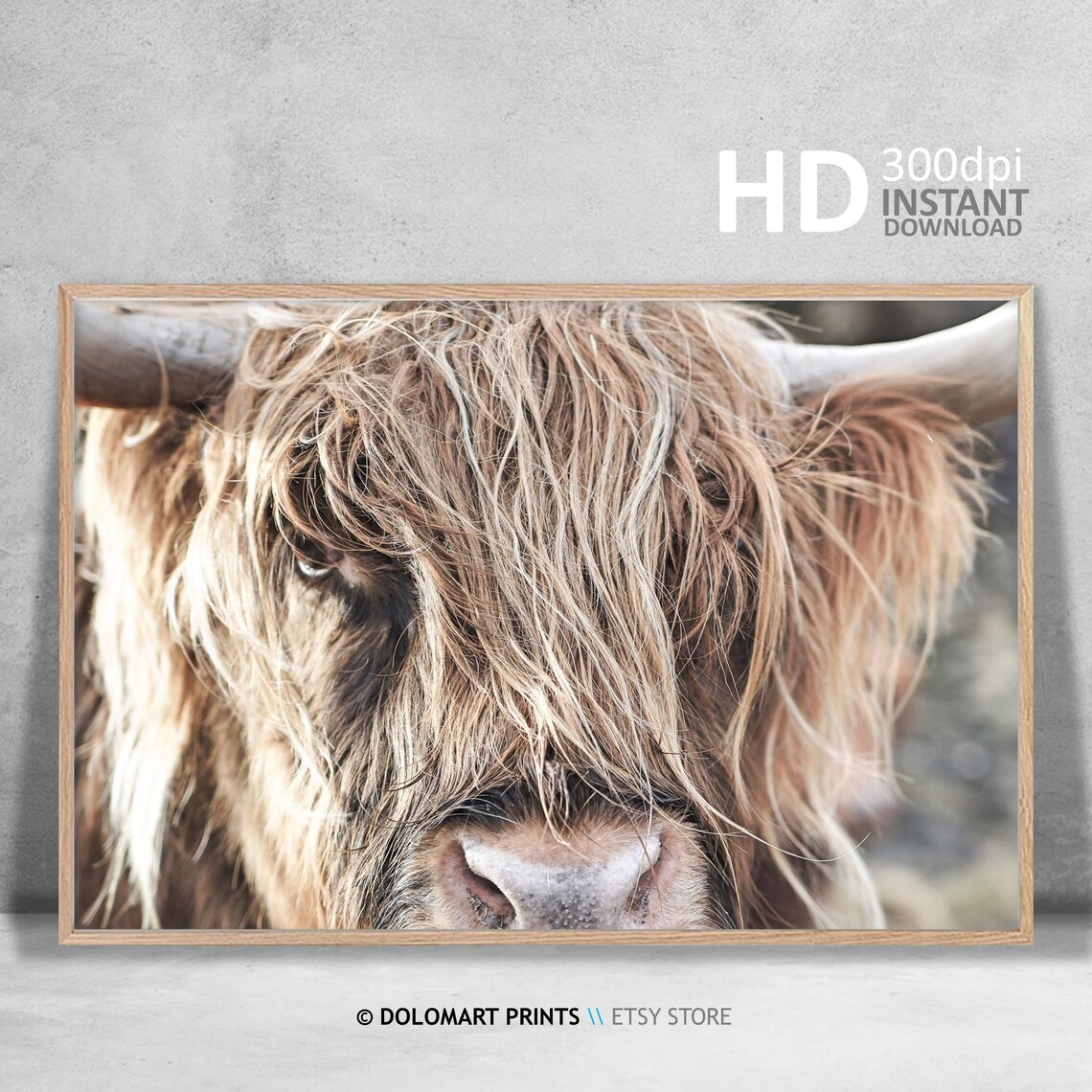 Highland Cow Photography Print, Rustic Nursery Decor - Image 3