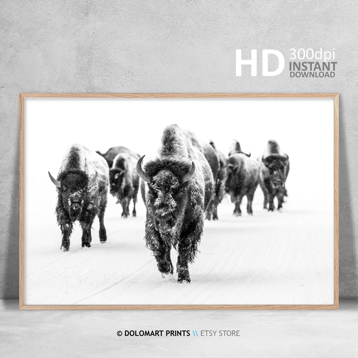 Black And White Bison Group Art Print, Farmhouse Decor - Image 3