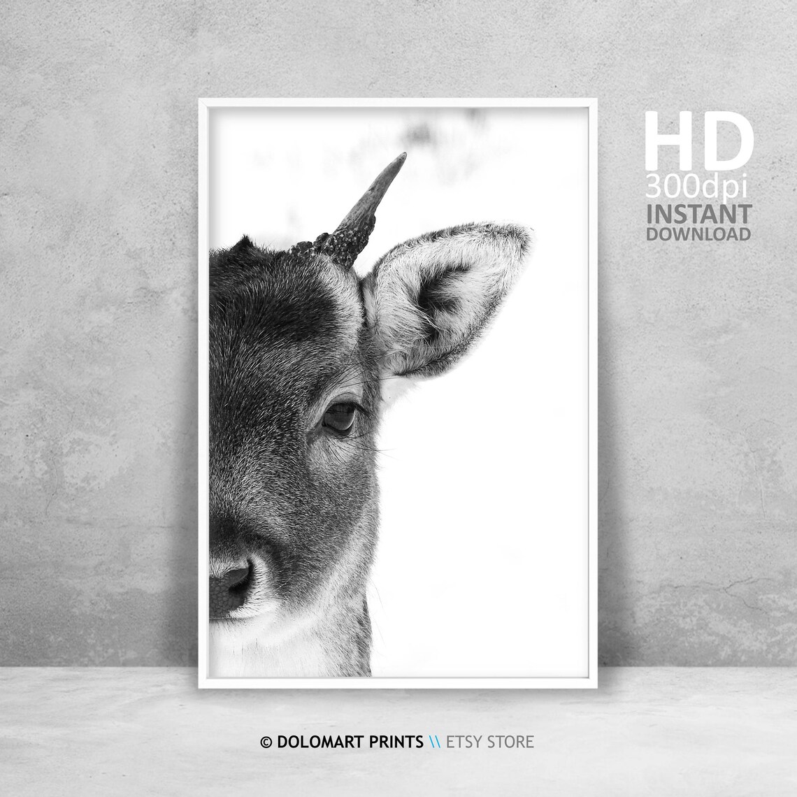 Deer Wall Art, Wilderness Photography Art Print