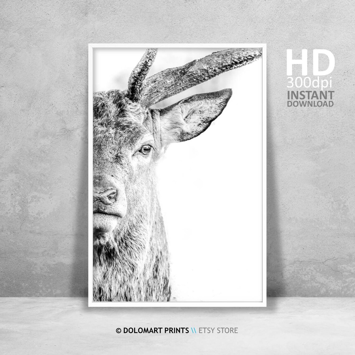 Deer Wilderness Photography Animal Poster Print
