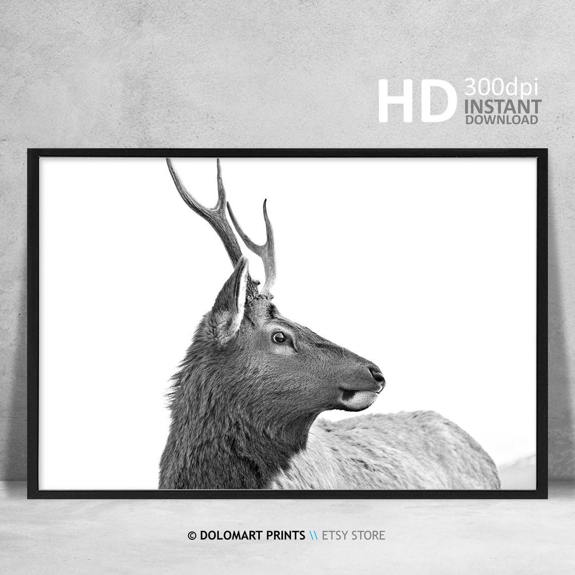 Elk Stag Profile Black and White Wildlife Photography Poster - Image 4