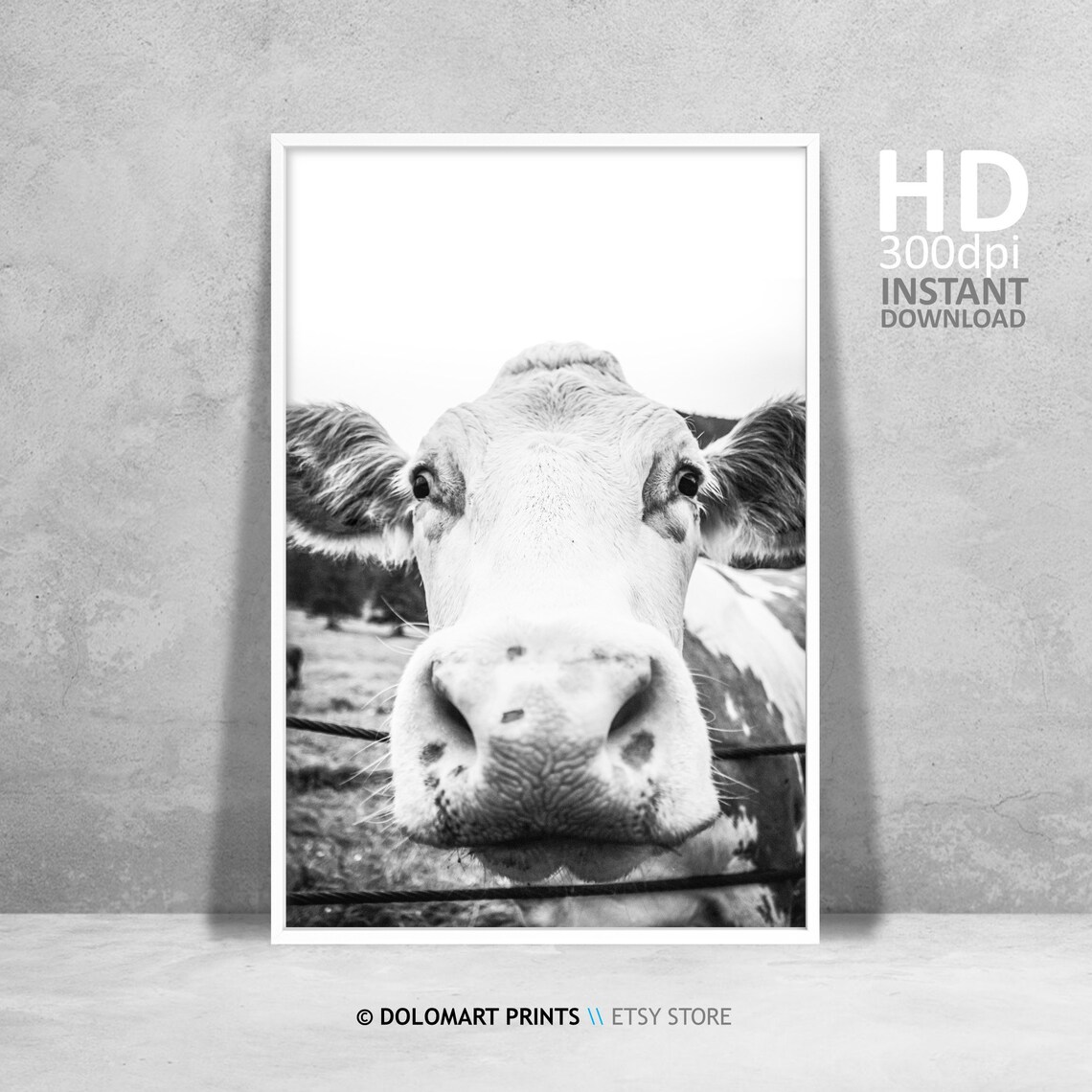 Cow Wall Art, Rustic Farmhouse Animal Poster