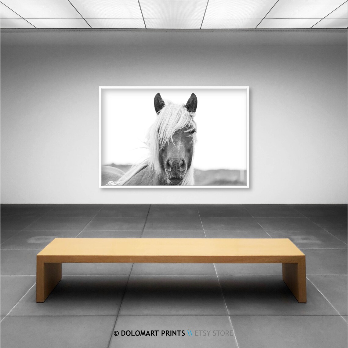 Horse Animal Photography Wall Art, Wilderness Photo - Image 2