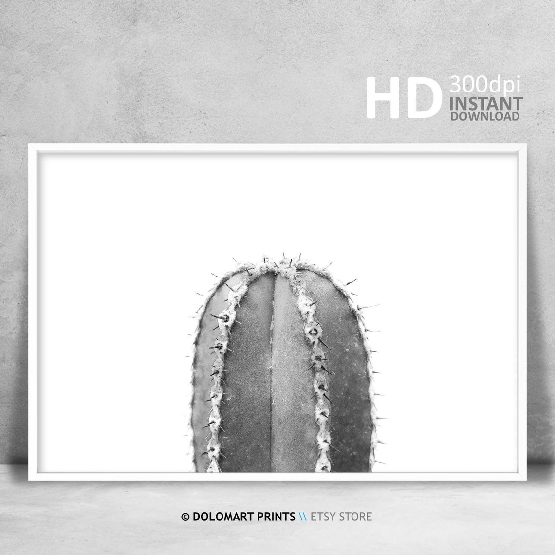 Black And White Cactus Photography Minimal Desert Botanical Poster