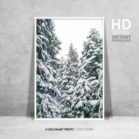 Winter Trees Rustic Christmas Forest Art Print