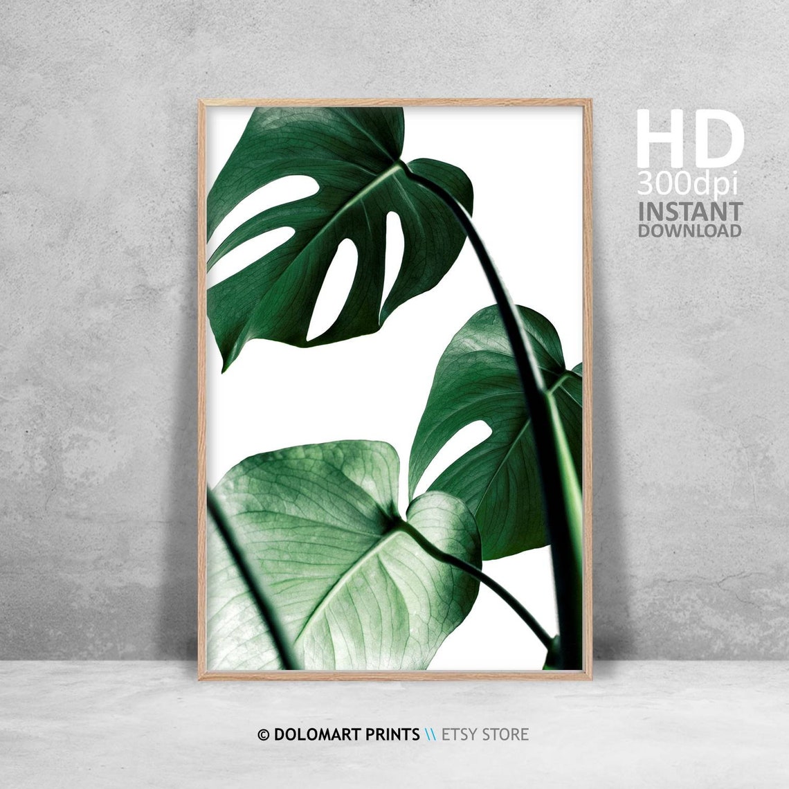 Dark Green Monstera Leaves Botanical Tropical Photography Poster - Image 4