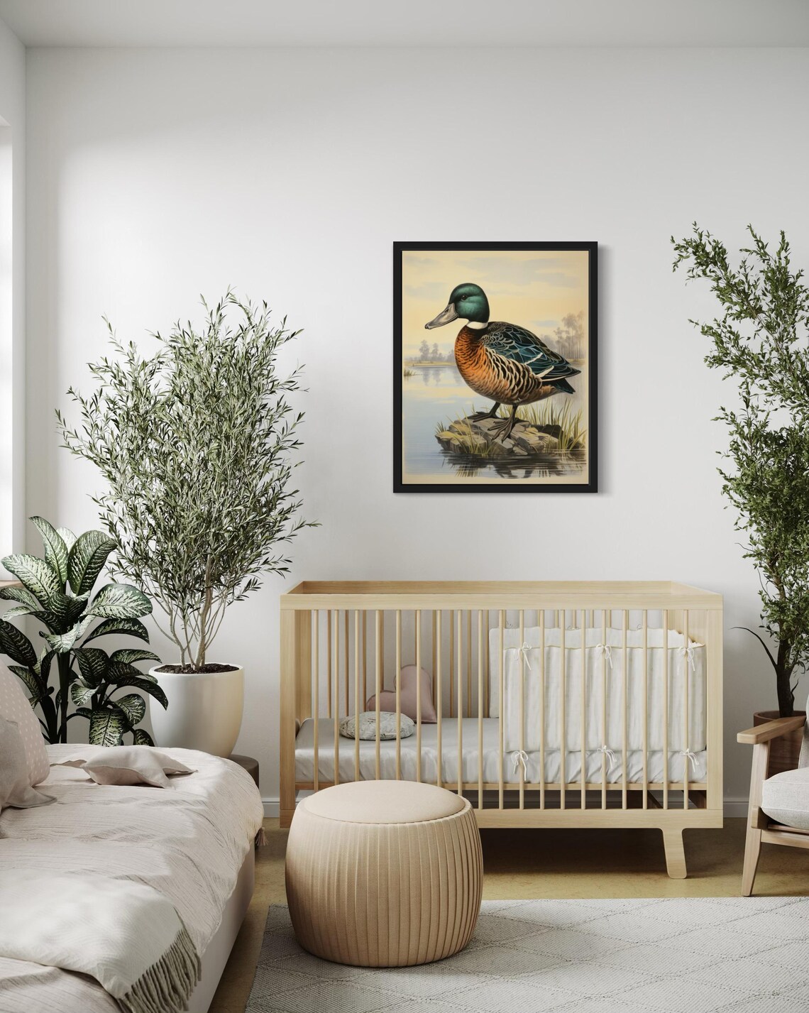 Northern Shoveler Drake Standing on a Rock by the Lake Vintage Poster - Image 4