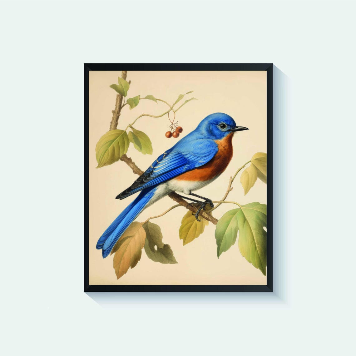 Eastern Bluebird Perched on a Blossoming Twig Vintage Songbird Poster