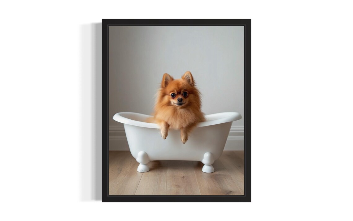 Fluffy Orange Pomeranian Puppy Sitting in Clawfoot Bathtub Poster