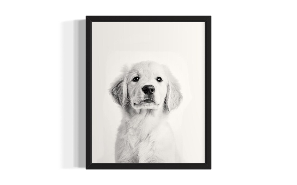 Sweet Golden Retriever Puppy Black and White Minimalist Dog Poster