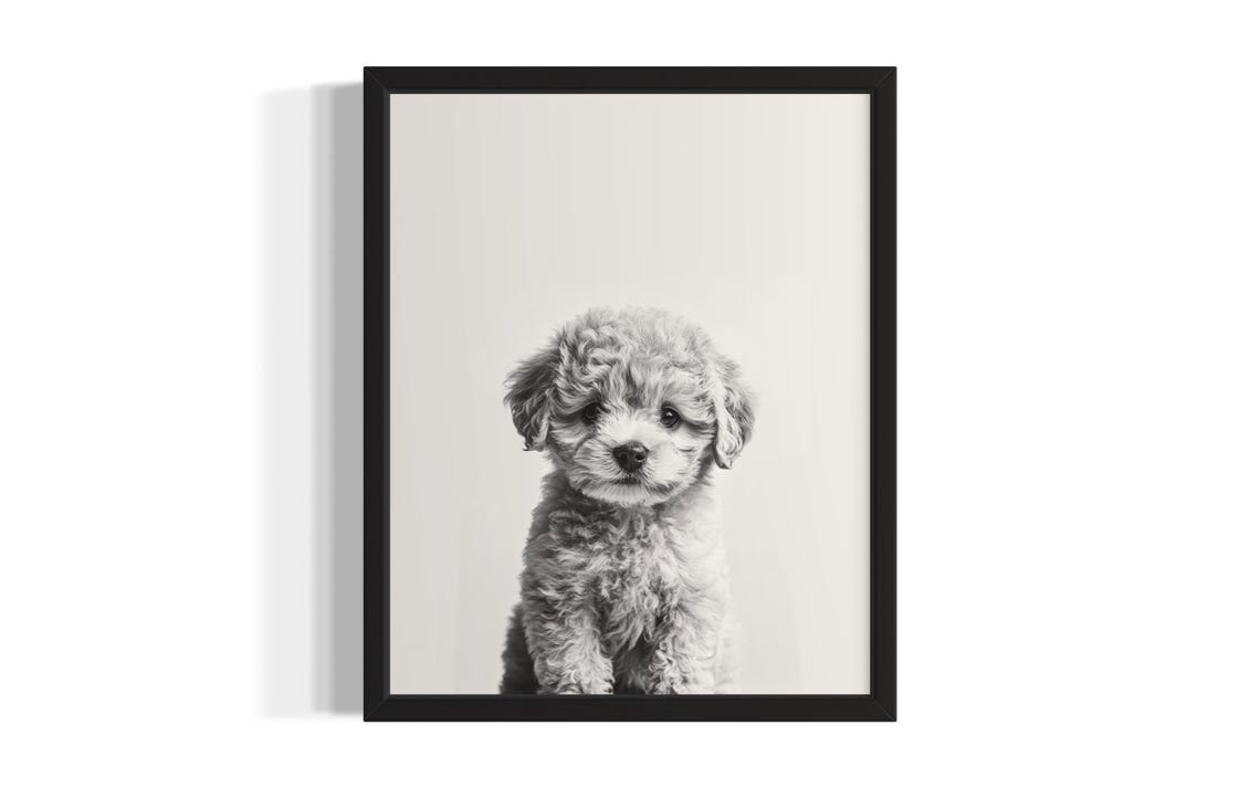 White Poodle Puppy Portrait Minimalist Black and White Wall Poster