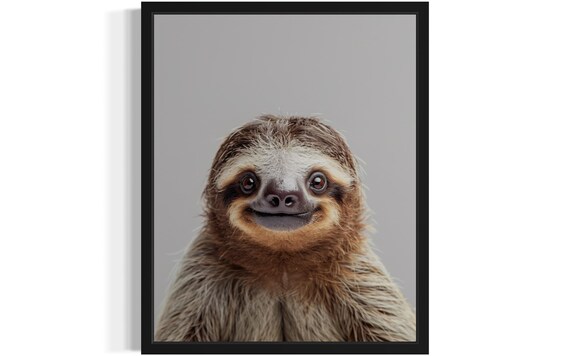 Happy Smiling Sloth Face Close-Up on Gray Background Photo Poster