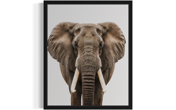 Majestic African Elephant Head On Minimalist Wildlife Photo Poster