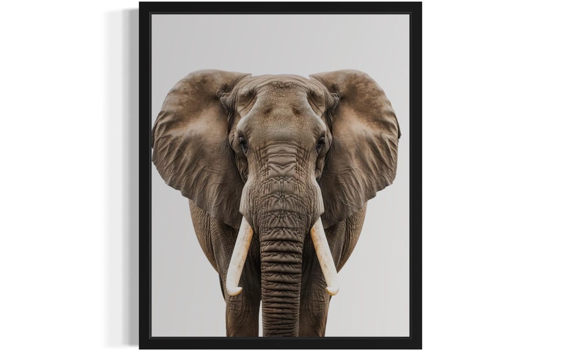 Majestic African Elephant Head On Minimalist Wildlife Photo Poster