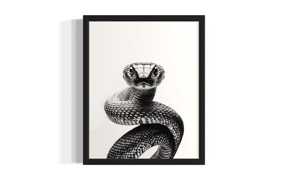 King Cobra Black And White Close Up Portrait Striking Snake Poster