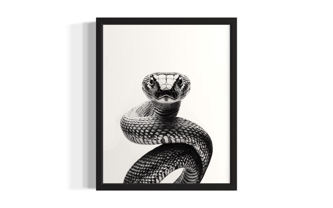 King Cobra Black And White Close Up Portrait Striking Snake Poster