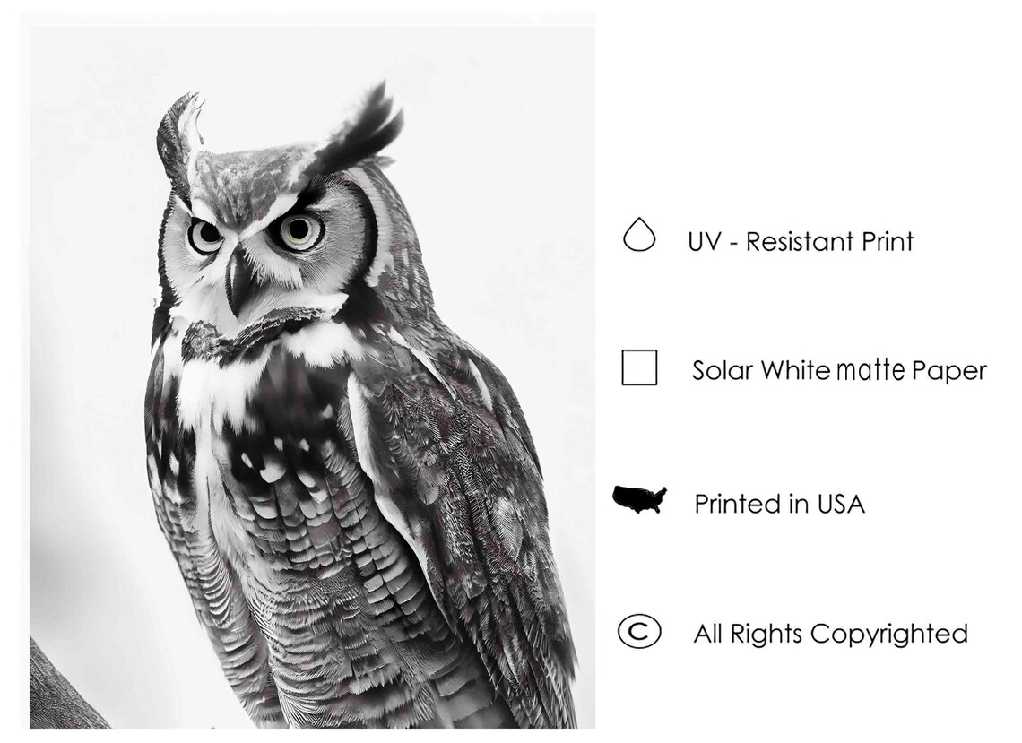 Great Horned Owl Black and White Wild Bird of Prey Portrait Poster - Image 3
