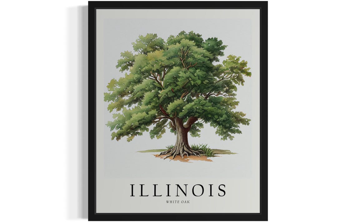 Illinois White Oak State Tree Botanical Decor Poster Home Decor Gift