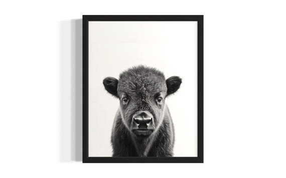 Bison Animal Black And White Poster Art Print Living Room Wall Original Paint Artwork Decor