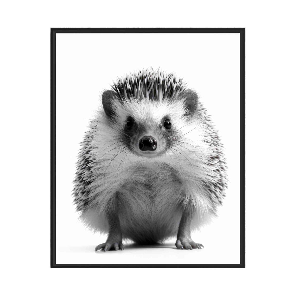 Cute Hedgehog Black And White Minimalist Animal Portrait Poster