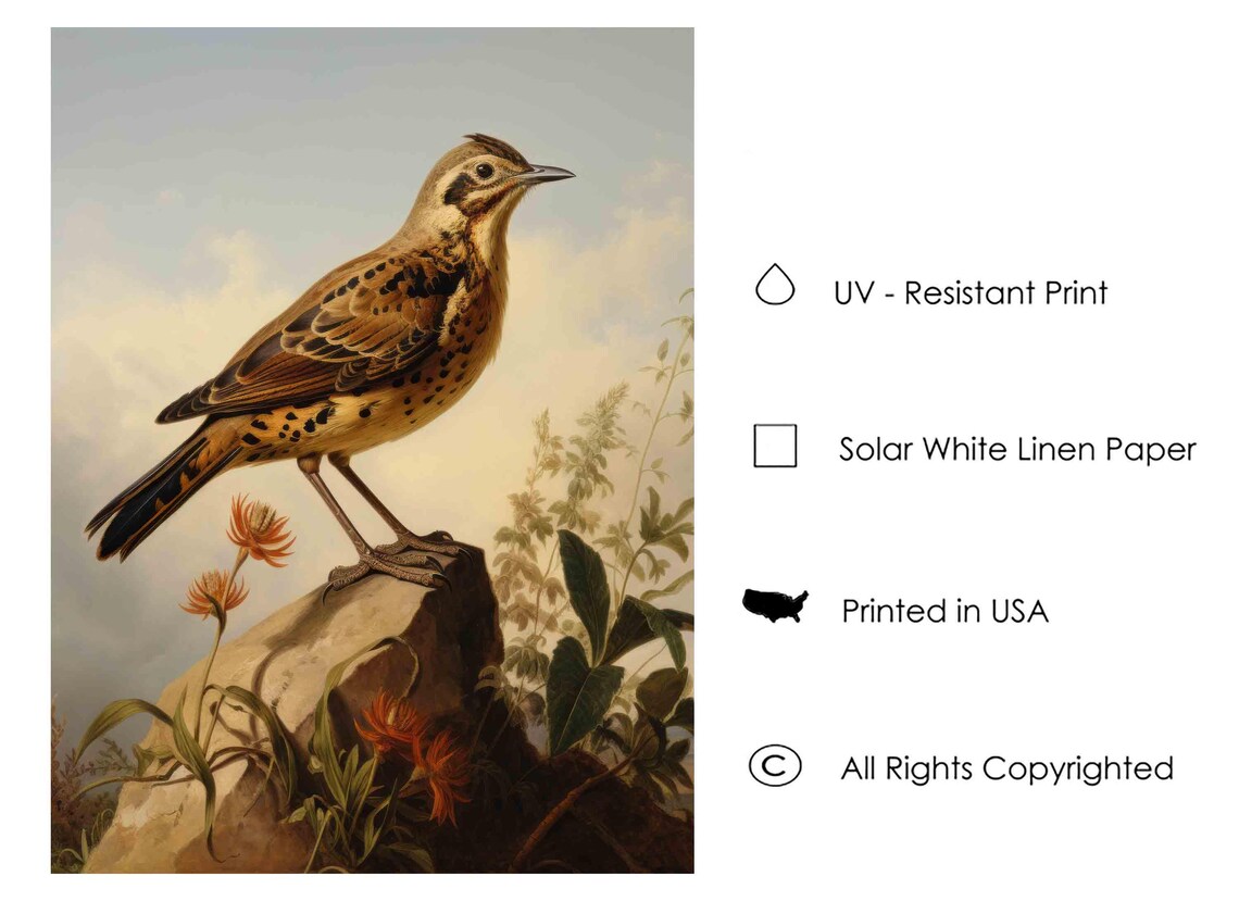 Lark Standing on a Rock with Red Flowers Vintage Bird Art Poster - Image 3