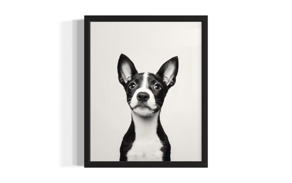 Black And White Puppy With Oversized Ears In Studio Portrait Poster