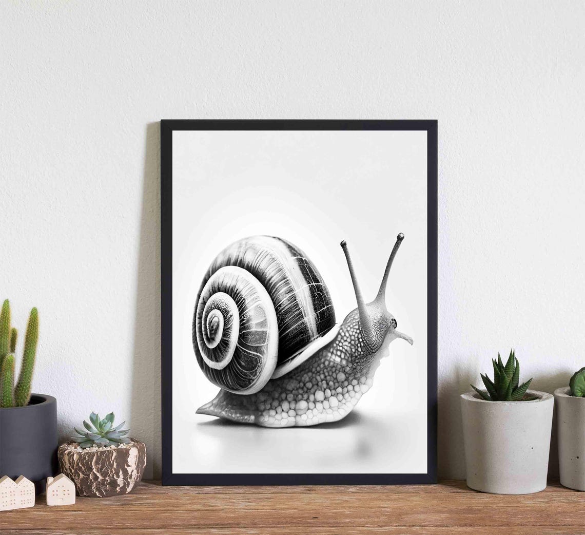 Snail Black and White Spiral Shell Macro Garden Portrait Poster - Image 2