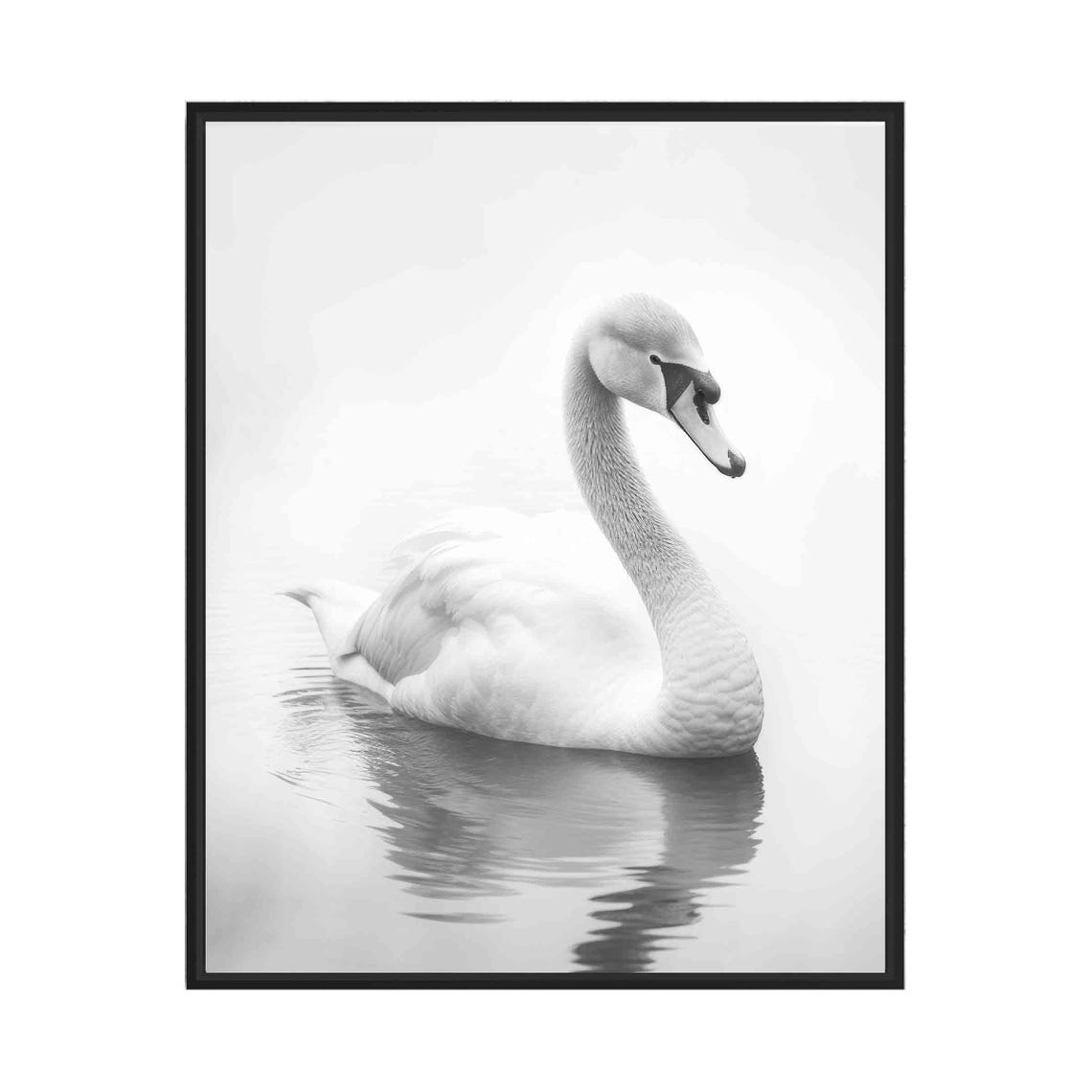 Mute Swan Black and White Elegant Water Reflection Portrait Poster