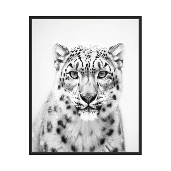 Snow Leopard Black and White Winter Wild Big Cat Portrait Poster
