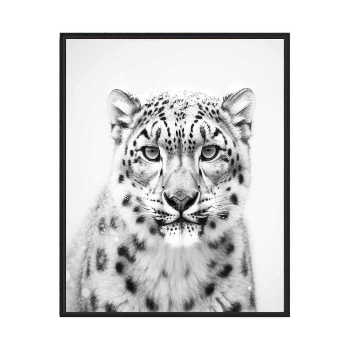 Snow Leopard Black and White Winter Wild Big Cat Portrait Poster