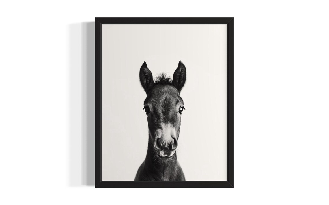Black and White Baby Horse Foal Portrait Minimalist Photography Poster