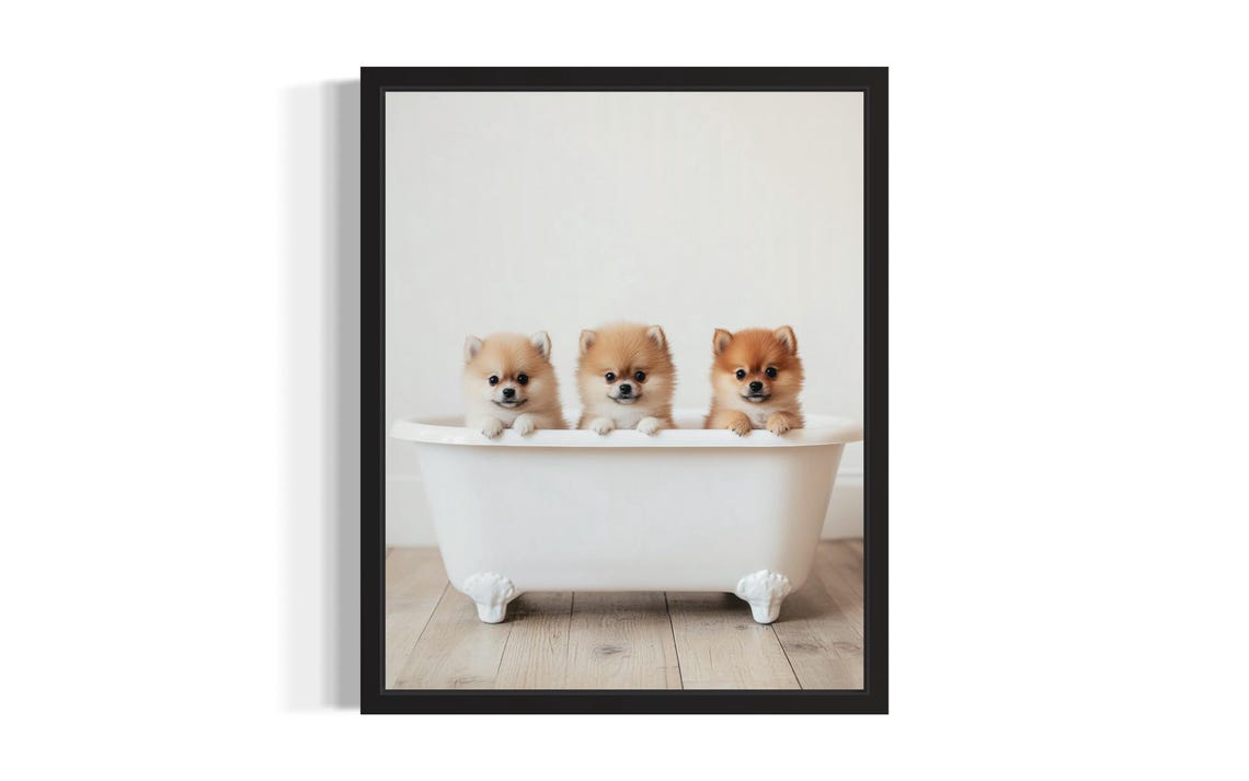Three Baby Pomeranian Puppies White Bathtub Cute Fluffy Poster
