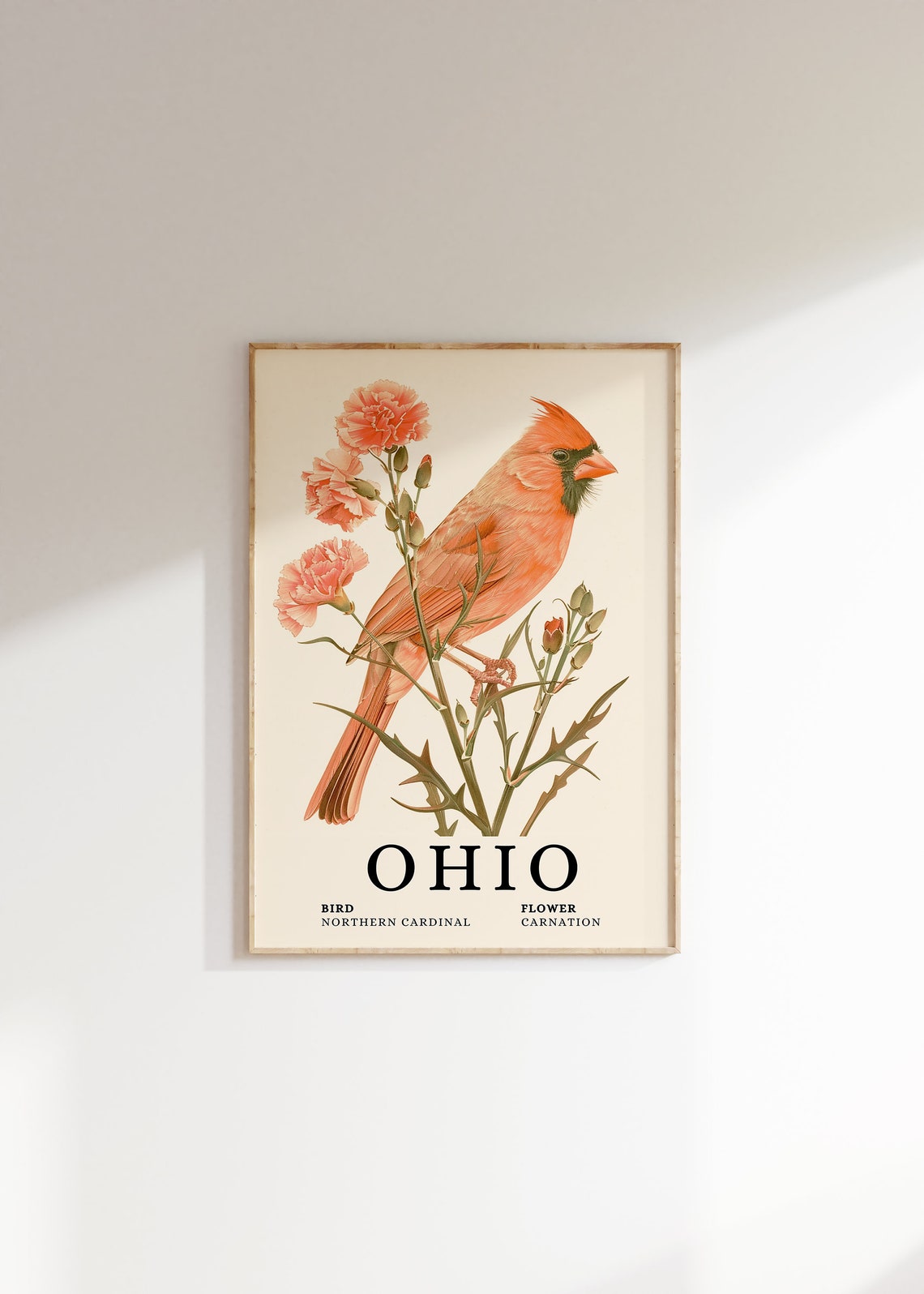 Ohio Northern Cardinal Carnation Botanical Bird and Flower Art Print