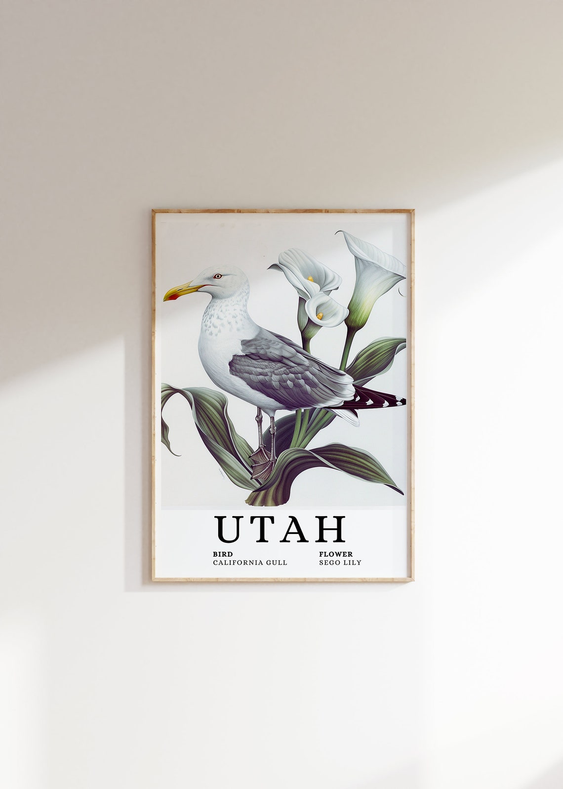 Utah California Gull Sego Lily Botanical Bird and Flower Art Print