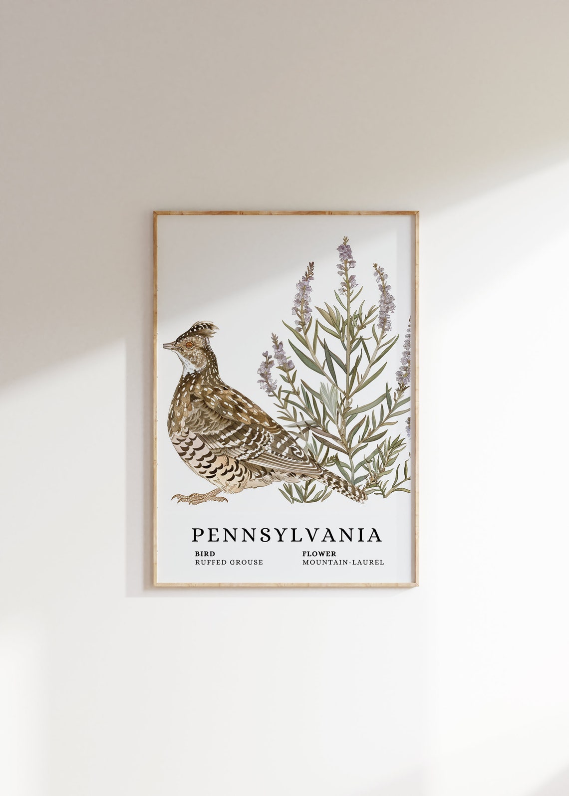 Pennsylvania Ruffed Grouse Mountain Laurel Bird Flower Art Print