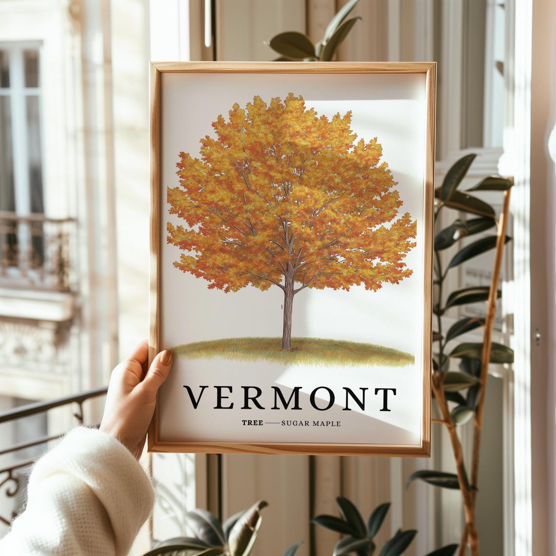 Vermont Sugar Maple Fall Foliage Botanical New England Poster - Image 2