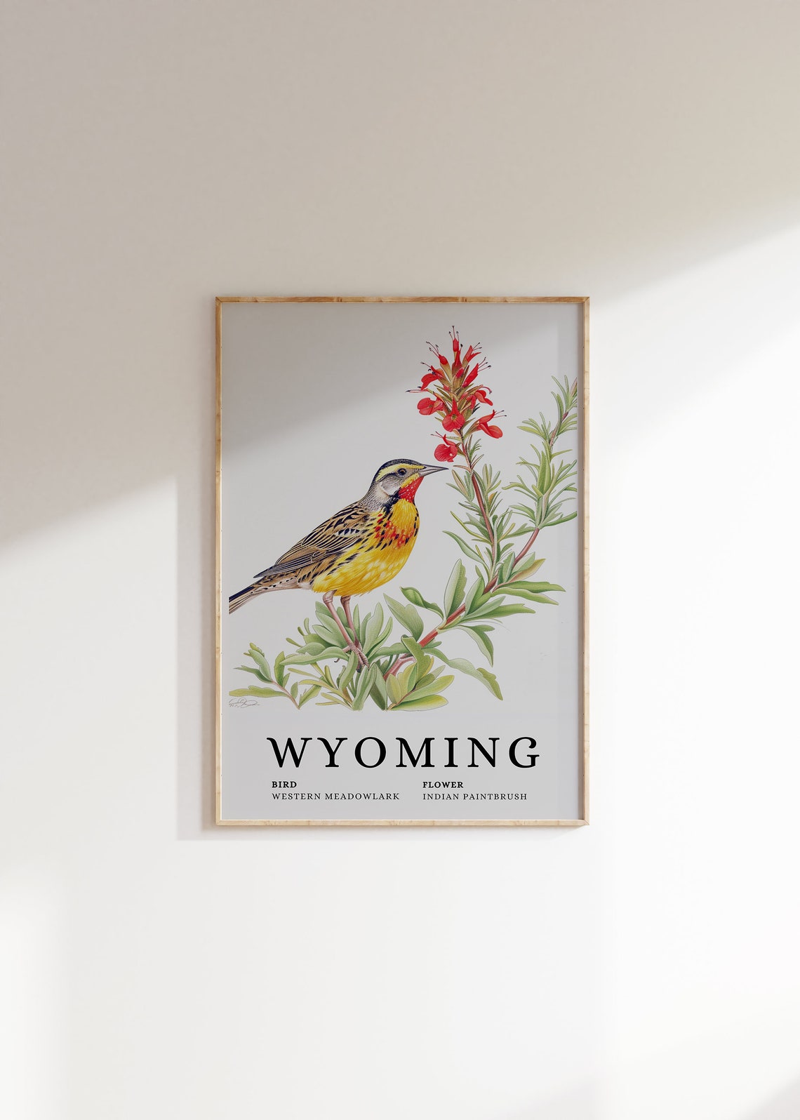 Wyoming Western Meadowlark And Indian Paintbrush Botanical Art Print