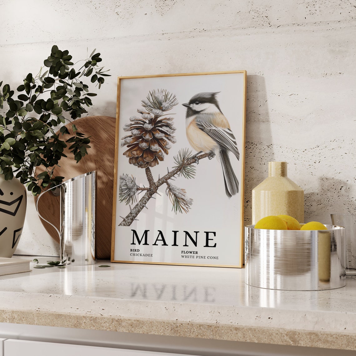 Maine State Bird Chickadee And White Pine Cone Botanical Art Print - Image 2