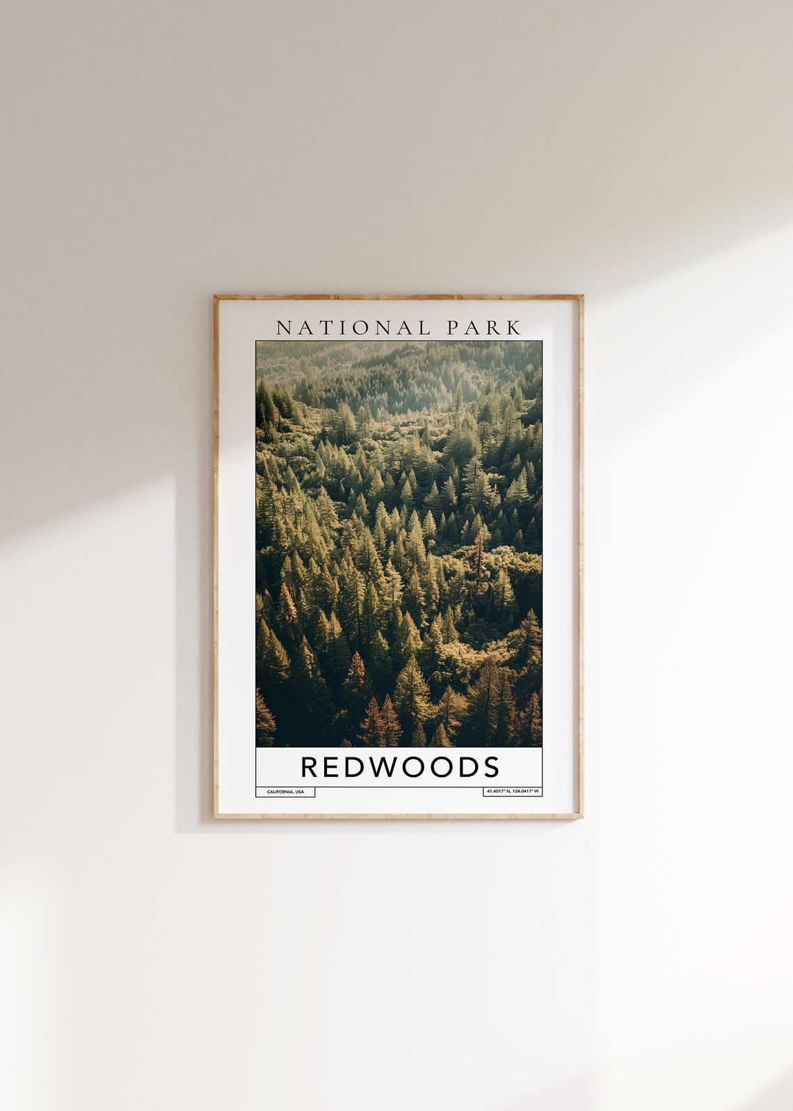 Redwood National Park Travel Print Redwoods California Travel Poster Redwood Park Gift Redwoods Travel Print Redwoods National Park Art
