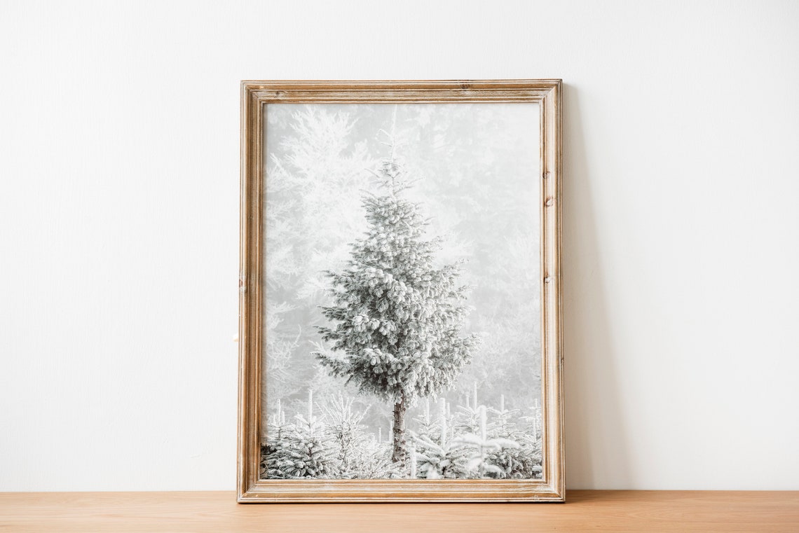 Frosted Snowy Pine Tree in White Winter Forest Photography Poster - Image 3