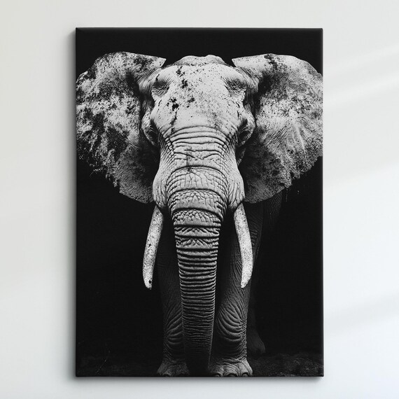 African Elephant Monochrome Black White Dramatic Tusker Portrait Poster
