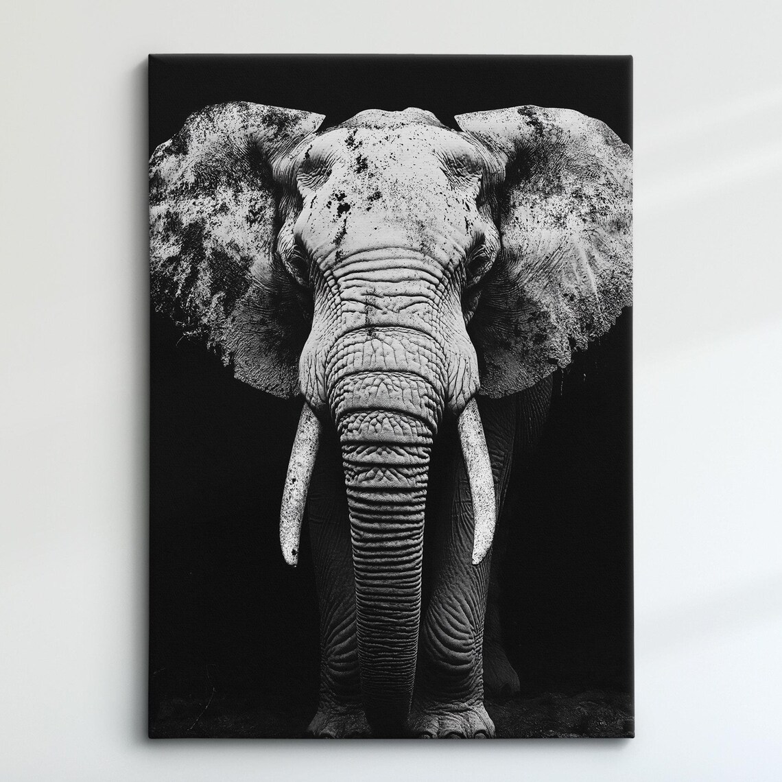 African Elephant Monochrome Black White Dramatic Tusker Portrait Poster