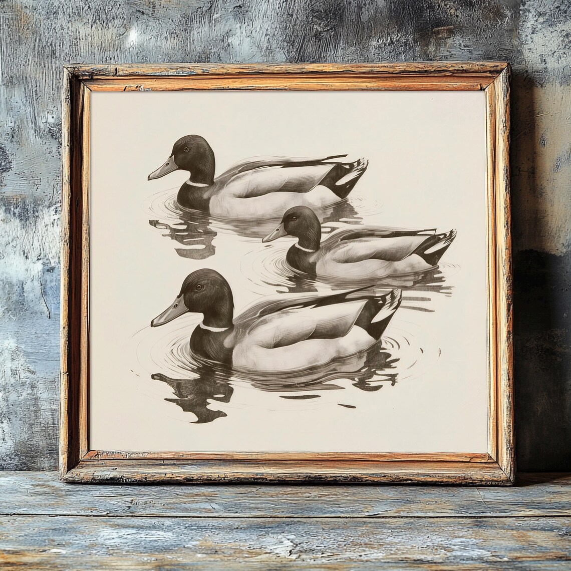 Three Mallard Ducks Swimming Vintage Monochrome Sketch Art Print