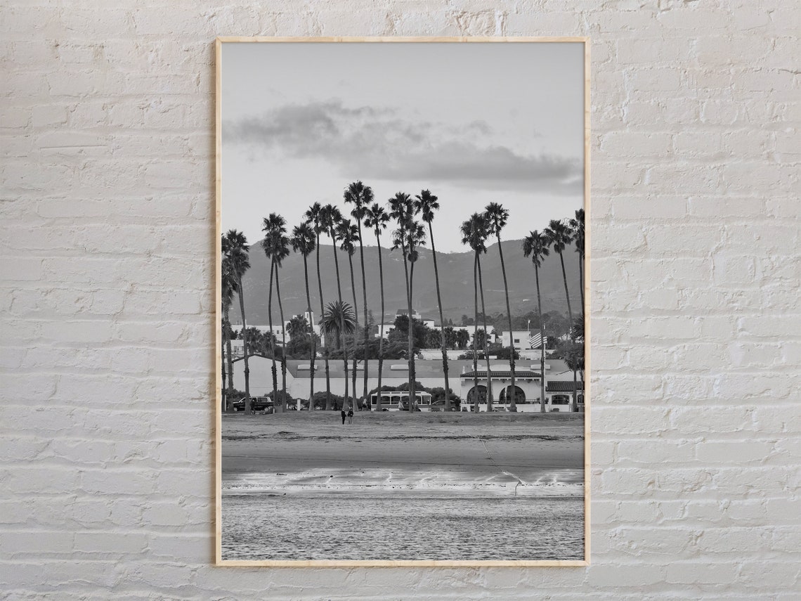 Santa Barbara Beachfront Palm Trees Black and White Photo Poster
