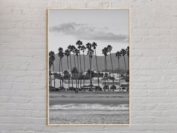 Santa Barbara Beachfront Palm Trees Black and White Photo Poster