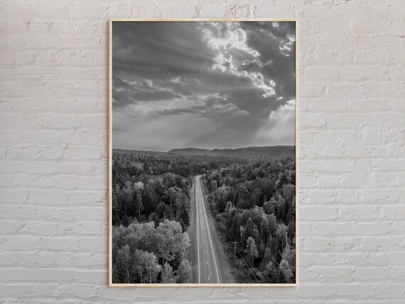 Straight Road Through Dense Forest Under Dramatic Sky Black And White Print